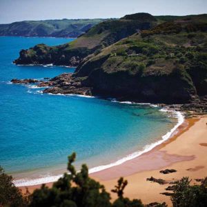 Waverley Coach Tours - Jersey's finest 